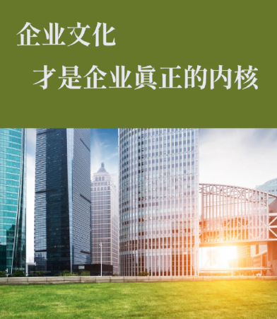 不同脸型与发质适配的发型设计方案及修剪技巧解析